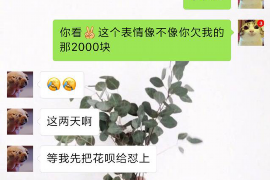 屯昌商账追讨清欠服务